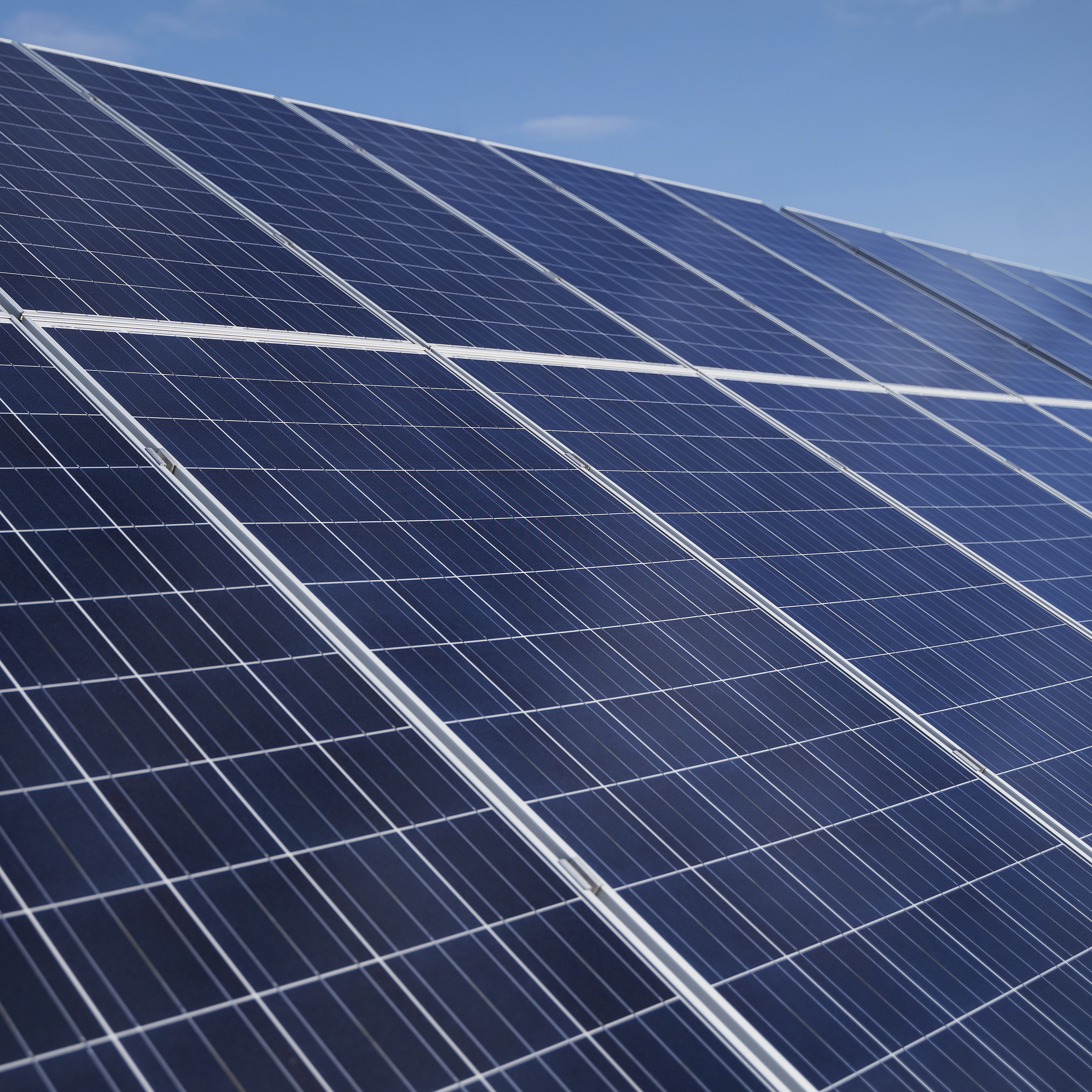Vários painéis solares alinhados e apontados para o céu